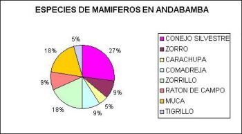 Especies de mamíferos